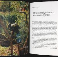 CLARAS TR&Auml;DG&Aring;RD &ndash; En h&auml;ngiven nyb&ouml;rjares succ&eacute;er och misslyckanden