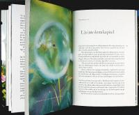 CLARAS TR&Auml;DG&Aring;RD &ndash; En h&auml;ngiven nyb&ouml;rjares succ&eacute;er och misslyckanden