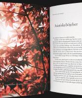 CLARAS TR&Auml;DG&Aring;RD &ndash; En h&auml;ngiven nyb&ouml;rjares succ&eacute;er och misslyckanden