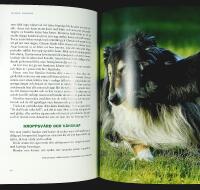 HANDBOK I HUNDSPR&Aring;K