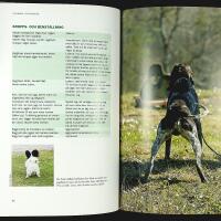 HANDBOK I HUNDSPR&Aring;K