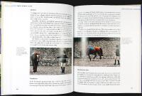 Making The YOUNG HORSE The Rational Way