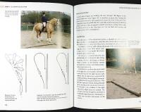 Making The YOUNG HORSE The Rational Way