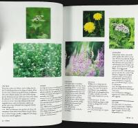 Naturskyddsf&ouml;reningens guide &ndash; UT I NATUREN &ndash; Utflykter &ndash; &Auml;ventyr &ndash; Upplevelser