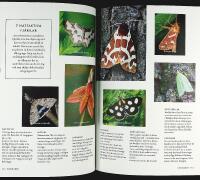 Naturskyddsf&ouml;reningens guide &ndash; UT I NATUREN &ndash; Utflykter &ndash; &Auml;ventyr &ndash; Upplevelser