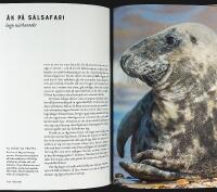 Naturskyddsf&ouml;reningens guide &ndash; UT I NATUREN &ndash; Utflykter &ndash; &Auml;ventyr &ndash; Upplevelser