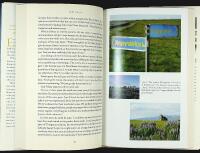 WILD HORSES OF THE SUMMER SUN &ndash; A Memoir of Iceland