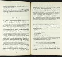 WILD HORSES OF THE SUMMER SUN &ndash; A Memoir of Iceland