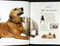HUNDEN &ndash; SK&Ouml;TSEL OCH V&Aring;RD