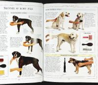HUNDEN &ndash; SK&Ouml;TSEL OCH V&Aring;RD