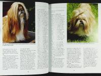 SHIH TZU &ndash; Best of Breed