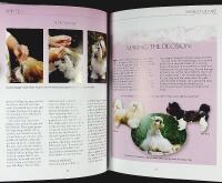 SHIH TZU &ndash; Best of Breed