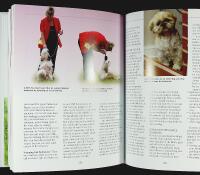 SHIH TZU &ndash; Best of Breed