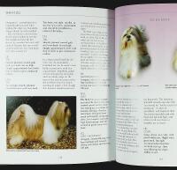 SHIH TZU &ndash; Best of Breed