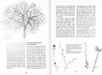 BESK&Auml;RA TR&Auml;D OCH BUSKAR
