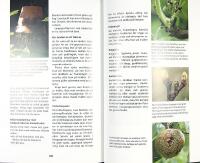 BESK&Auml;RA TR&Auml;D OCH BUSKAR