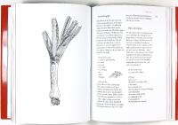 J&Auml;RNSPISAR, HACKEKORV & TABBERAS &ndash; Mat, smak & tradition i Astrid Lindgrens v&auml;rld