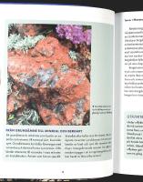 UPPT&Auml;CK F&Ouml;RHISTORISKA SK&Aring;NE &ndash; 18 spektakul&auml;ra utflyktstips: fr&aring;n vulkaner till dinosaurier