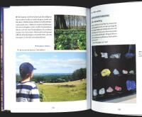 UPPT&Auml;CK F&Ouml;RHISTORISKA SK&Aring;NE &ndash; 18 spektakul&auml;ra utflyktstips: fr&aring;n vulkaner till dinosaurier