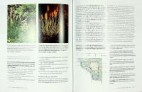 GR&Ouml;N TR&Auml;DG&Aring;RD &Aring;RET OM &ndash; Med vintergr&ouml;na v&auml;xter och prydnadsgr&auml;s