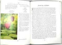 TR&Auml;DG&Aring;RDSM&Auml;STARENS K&Ouml;K