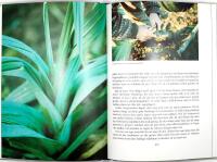 TR&Auml;DG&Aring;RDSM&Auml;STARENS K&Ouml;K