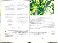 TR&Auml;DG&Aring;RDSM&Auml;STARENS K&Ouml;K