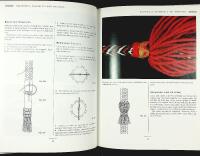 BRAIDS &ndash; 250 Patterns from Japan, Peru & Beyond