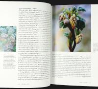 Beth Chatto's WOODLAND GARDEN &ndash; Shade-Loving Plants for Year-Round Interest