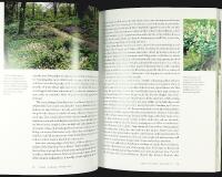 Beth Chatto's WOODLAND GARDEN &ndash; Shade-Loving Plants for Year-Round Interest