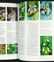 Beth Chatto's WOODLAND GARDEN &ndash; Shade-Loving Plants for Year-Round Interest