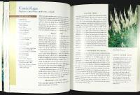 MAKING THE MOST OF SHADE &ndash; How to Plan, Plant, and Grow a Fabulous Garden That Lightens Up the Shadows