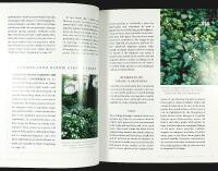 MAKING THE MOST OF SHADE &ndash; How to Plan, Plant, and Grow a Fabulous Garden That Lightens Up the Shadows