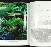 MAKING THE MOST OF SHADE &ndash; How to Plan, Plant, and Grow a Fabulous Garden That Lightens Up the Shadows