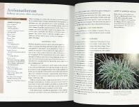 MAKING THE MOST OF SHADE &ndash; How to Plan, Plant, and Grow a Fabulous Garden That Lightens Up the Shadows