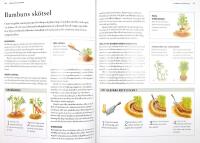 GR&Auml;S och BAMBU &ndash; En praktisk handbok