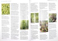 GR&Auml;S och BAMBU &ndash; En praktisk handbok