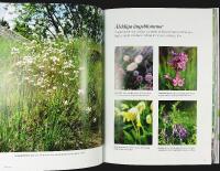 BLOMSTERGL&Auml;DJE  I vas, kruka & rabatt