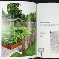 BLOMSTERGL&Auml;DJE  I vas, kruka & rabatt