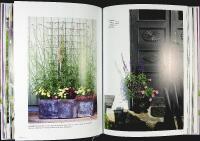 BLOMSTERGL&Auml;DJE  I vas, kruka & rabatt