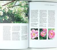 WIJ TR&Auml;DG&Aring;RDAR &ndash; En vision i Ockelbo