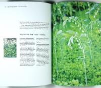 WIJ TR&Auml;DG&Aring;RDAR &ndash; En vision i Ockelbo