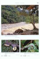 VENOMOUS SNAKES OF ASIA / Giftschlangen Asiens