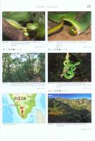 VENOMOUS SNAKES OF ASIA / Giftschlangen Asiens