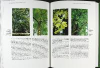 EN PARK I STADEN &ndash; 150 &aring;r med Link&ouml;pings Tr&auml;dg&aring;rdsf&ouml;renings Park