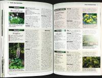 SHADE GARDENING  (Ortho's All About)