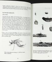 Mygg, mygg, mygg &ndash; Glimtar ur STICKMYGGORNAS liv