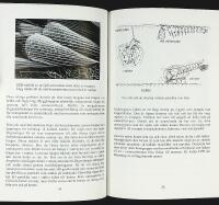 Mygg, mygg, mygg &ndash; Glimtar ur STICKMYGGORNAS liv