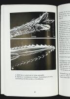 Mygg, mygg, mygg &ndash; Glimtar ur STICKMYGGORNAS liv