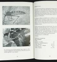 Mygg, mygg, mygg &ndash; Glimtar ur STICKMYGGORNAS liv